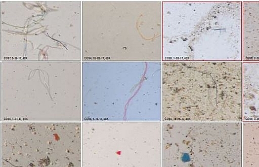 Mỹ: Bất ngờ phát hiện “mưa vi nhựa” ở dãy núi Rocky