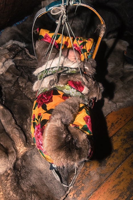 Khám phá cuộc sống đời thường của bộ lạc Nenets tại nơi 'tận cùng thế giới' kham pha cuoc song doi thuong cua bo lac nenets tai noi tan cung the gioi