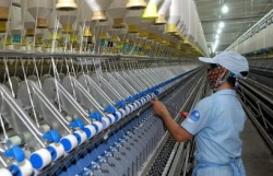 Chuyên gia Czech: Covid-19 không thể làm giảm sự hấp dẫn của Việt Nam đối với nhà đầu tư nước ngoài