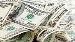 Tỷ giá USD hôm nay 21/8: Biến động mạnh sau phiên tăng vọt từ đáy 2 năm