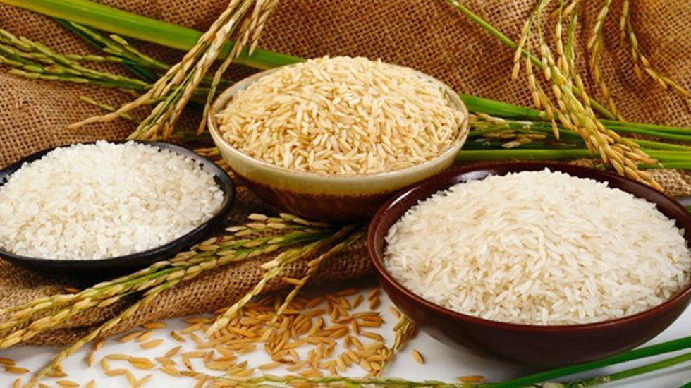 1036-djfmkhpu4aa4jty