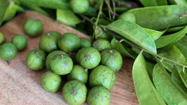 Xuất khẩu ngày 31/7-2/8: Sấu đông lạnh được 'cấp visa' sang Australia, Mỹ là thị trường xuất khẩu lớn nhất của Việt Nam