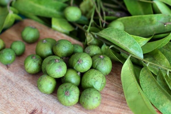 Xuất khẩu ngày 31/7-2/8: 22 tấn sấu đông lạnh 'cấp visa' sang Australia