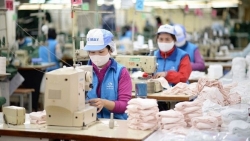 Dệt may tăng trưởng tốt trong khó khăn do Covid-19