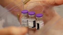 Thị trường vaccine Covid-19 lên ngôi, các hãng dược phẩm 'hái ra tiền'