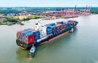 Lợi ích từ các FTA 'phủ sóng' nhiều lĩnh vực của nền kinh tế Việt Nam, cần đổi mới mạnh mẽ để thu thêm 'trái ngọt'