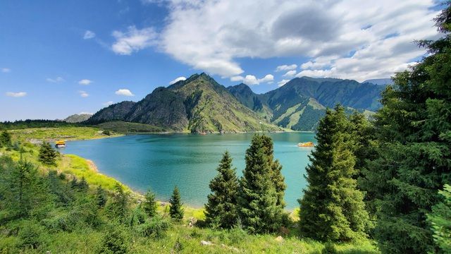 3319-4-1598958043484