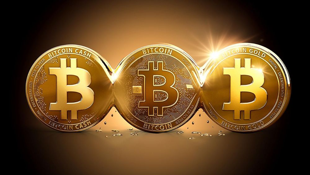 Giá Bitcoin vọt tăng mạnh mẽ, khiến loạt tiền ảo hàng đầu bứt phá. 2702-1-v0x42lzxmupghvrac8zpqw