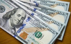 Tỷ giá USD hôm nay 6/9: Tăng nhẹ phiên cuối tuần, rủi ro tiềm ẩn