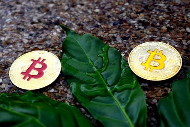 Thị trường ‘nhuốm máu’, Bitcoin bị thổi bay 4 tỷ USD 5028-bitcoin-08500271