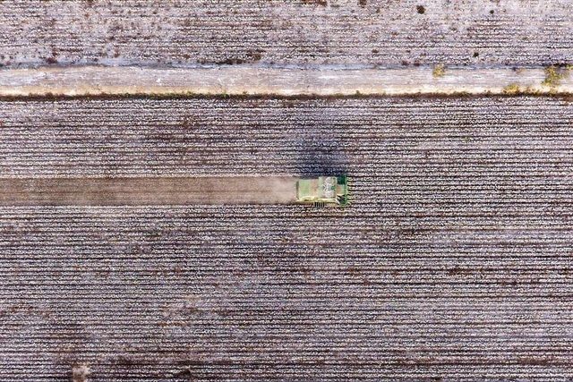 Mỹ muốn chặn hàng dệt may có chứa bông từ Tân Cương, Trung Quốc 3107-99-my-muon-chan-hang-det-may-nhap-khau-tu-trung-quocdocx-1599623503560