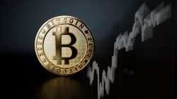 Tiền điện tử hôm nay 11/9: Thị trường biến động thất thường, Bitcoin sẽ sớm trở lại 'thời hoàng kim'?