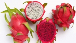 Loạt nông sản Việt chuẩn bị 'hành trang' sang EU theo EVFTA