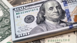 Tỷ giá USD hôm nay 15/9: Giới đầu tư đánh cược vào cuộc họp của Fed, USD giảm giá