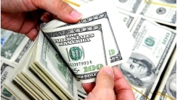 Tỷ giá USD hôm nay 29/9: Bầu cử Mỹ khó lường, USD quay đầu giảm