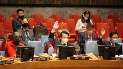 Hội đồng Bảo an thông qua 2 nghị quyết về Afghanistan và Iraq, thảo  luận tình hình tại Somalia