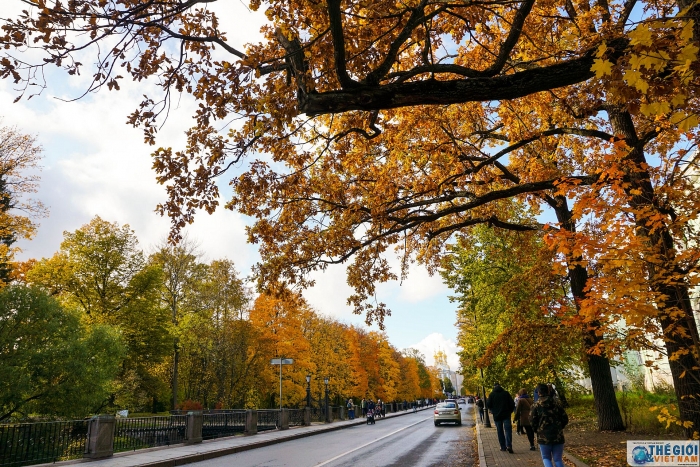 dam chim trong dac san mua thu vang nuoc nga