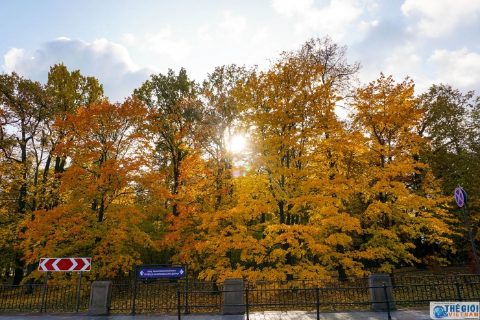 dam chim trong dac san mua thu vang nuoc nga
