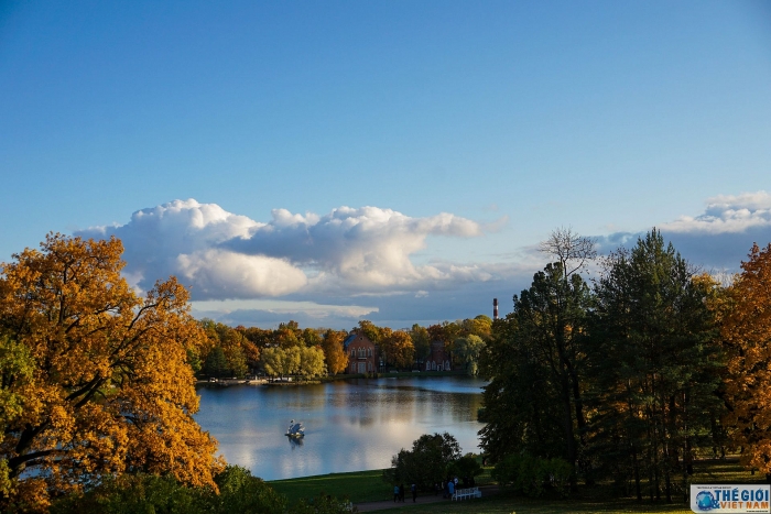 dam chim trong dac san mua thu vang nuoc nga