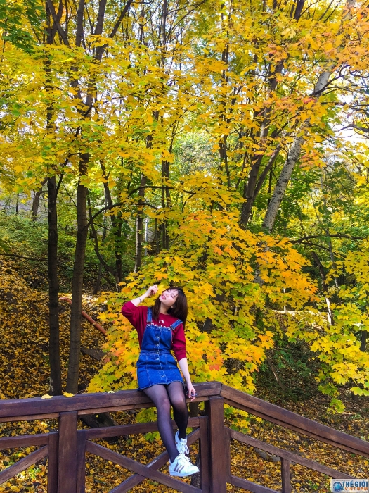 dam chim trong dac san mua thu vang nuoc nga