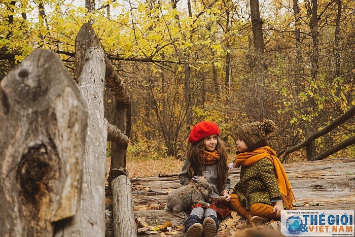 dam chim trong dac san mua thu vang nuoc nga