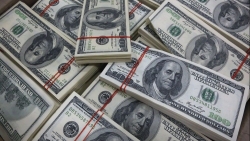Tỷ giá USD hôm nay 11/11: Giảm mạnh trên thị trường tự do