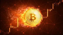 Tiền điện tử Bitcoin hôm nay 12/10: Giá lên xuống trong biên độ hẹp, thị trường rực đỏ