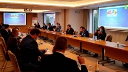 70 năm quan hệ ngoại giao Việt Nam-Romania: Viễn cảnh mới