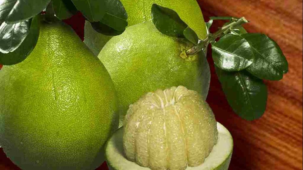 Xuất nhập khẩu 17-19/10: Ngành mía đường gặp khó, bưởi tươi Việt Nam có thêm thị trường xuất khẩu mới