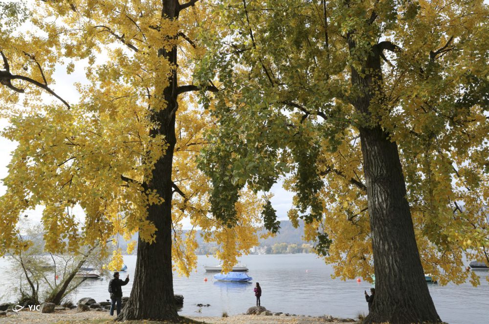 'Mãn nhãn' với cảnh sắc mùa Thu trên khắp thế giới