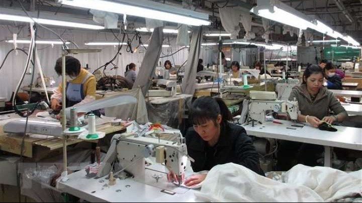 Nhật Bản: Nhiều doanh nghiệp tiếp nhận thực tập sinh bị phát hiện vi phạm pháp luật