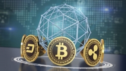 Sự bùng nổ của Bitcoin có thể chỉ mới bắt đầu?