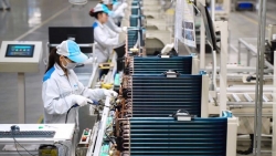 Doanh nghiệp Nhật Bản tin tưởng về triển vọng kinh tế Việt Nam