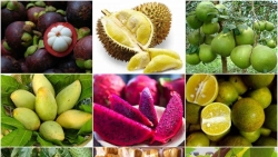 Xuất khẩu ngày 12-14/12: Philippines 'mạnh tay' mua gạo Việt, xuất khẩu hạt điều ước đạt 50 nghìn tấn