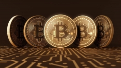 Bitcoin chính thức đạt mức cao nhất mọi thời đại, chuyên gia dự đoán vẫn 'rộng cửa' tăng