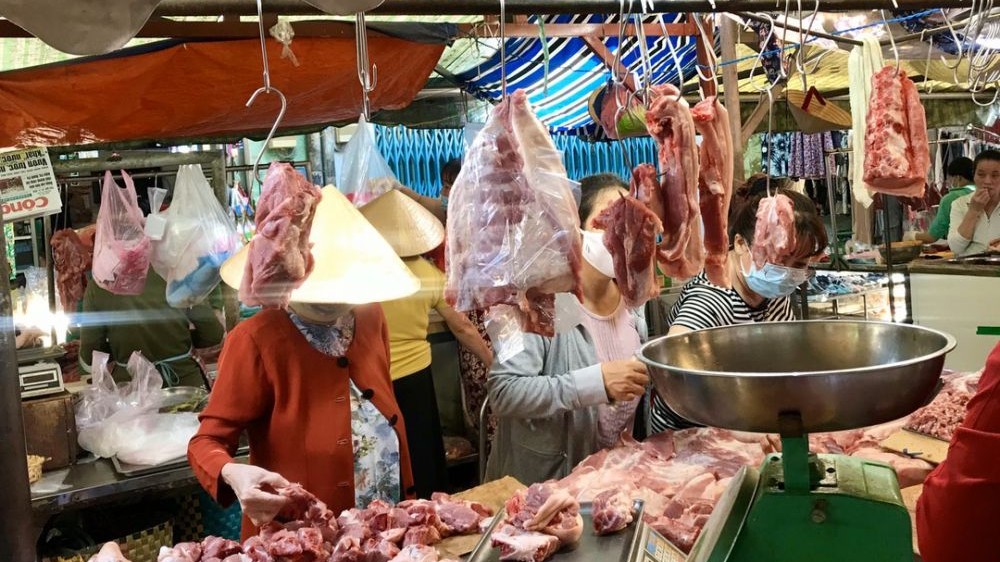 Giá heo hơi hôm nay 23/2: Giá heo hơi miền Bắc giảm nhẹ, tìm đường tháo gỡ khó khăn cho hộ chăn nuôi