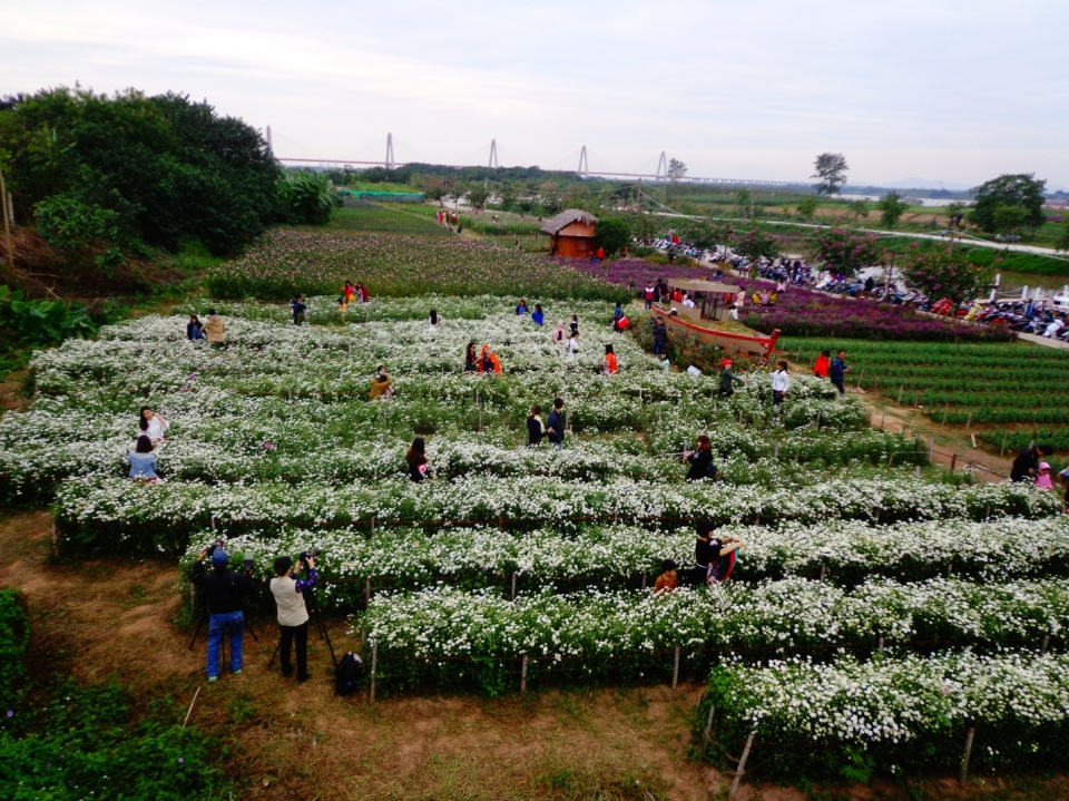 Thưởng ngoạn thiên nhiên trong lòng đô thị