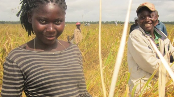 Hình ảnh Việt trên đất châu Phi