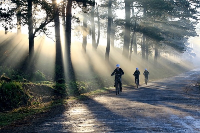 Những khuôn hình đầy chất thơ Đà Lạt