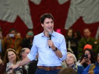 ca chep chau a xam luoc cac vung nuoc o canada va my