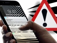 tiktok khi am nhac va khieu vu tro thanh ngon ngu quoc te