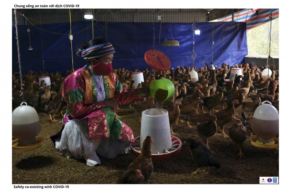 Hà Giang thời Covid vẫn đậm sắc hương