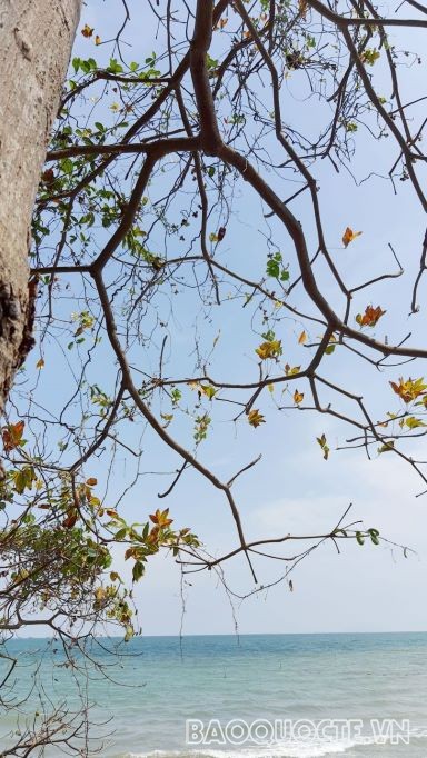 Đảo Hòn Nghệ - ‘Hạ Long’ phương Nam