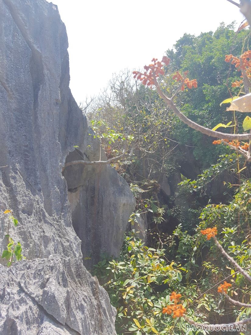 Đảo Hòn Nghệ - ‘Hạ Long’ phương Nam