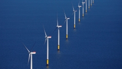 Mỹ: Đấu thầu địa điểm phát triển năng lượng tái tạo quy mô lớn nhất từ trước tới nay