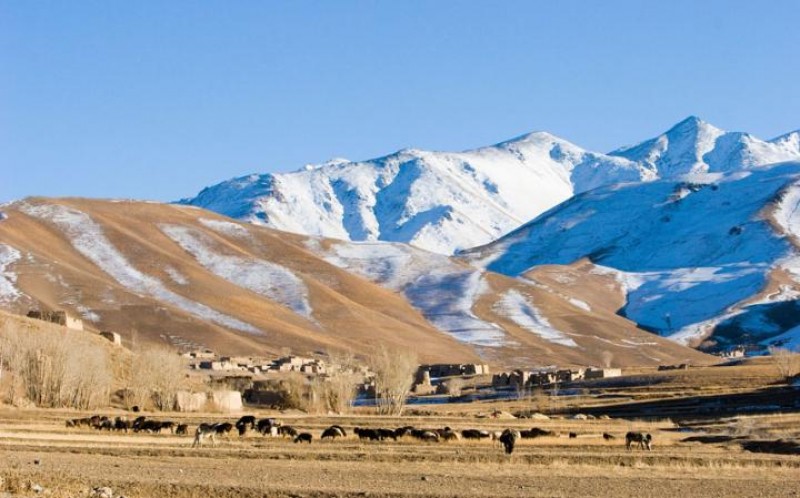 Nhiều nhân tố khiến Đan Mạch thành nước hạnh phúc nhất nhie u nhan to khie n dan mach tha nh nuo c ha nh phu c nha t