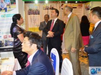 trung tam du hoc va dao tao tieng nhat gotojapan nhip cau ket noi viet nhat