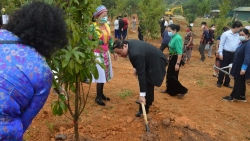 Phát động Tết trồng cây 'Đời đời nhớ ơn Bác Hồ'