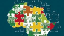 Liên hợp quốc thúc đẩy châu Phi hội nhập AfCFTA