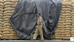 Xung đột Nga-Ukraine: Ấn Độ bứt tốc nguồn cung cho thị trường lúa mì toàn cầu